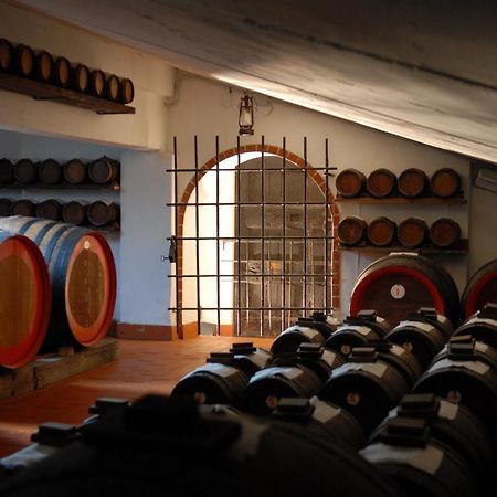 Real Bb Balsamico Bed & Breakfast Bastiglia Dış mekan fotoğraf
