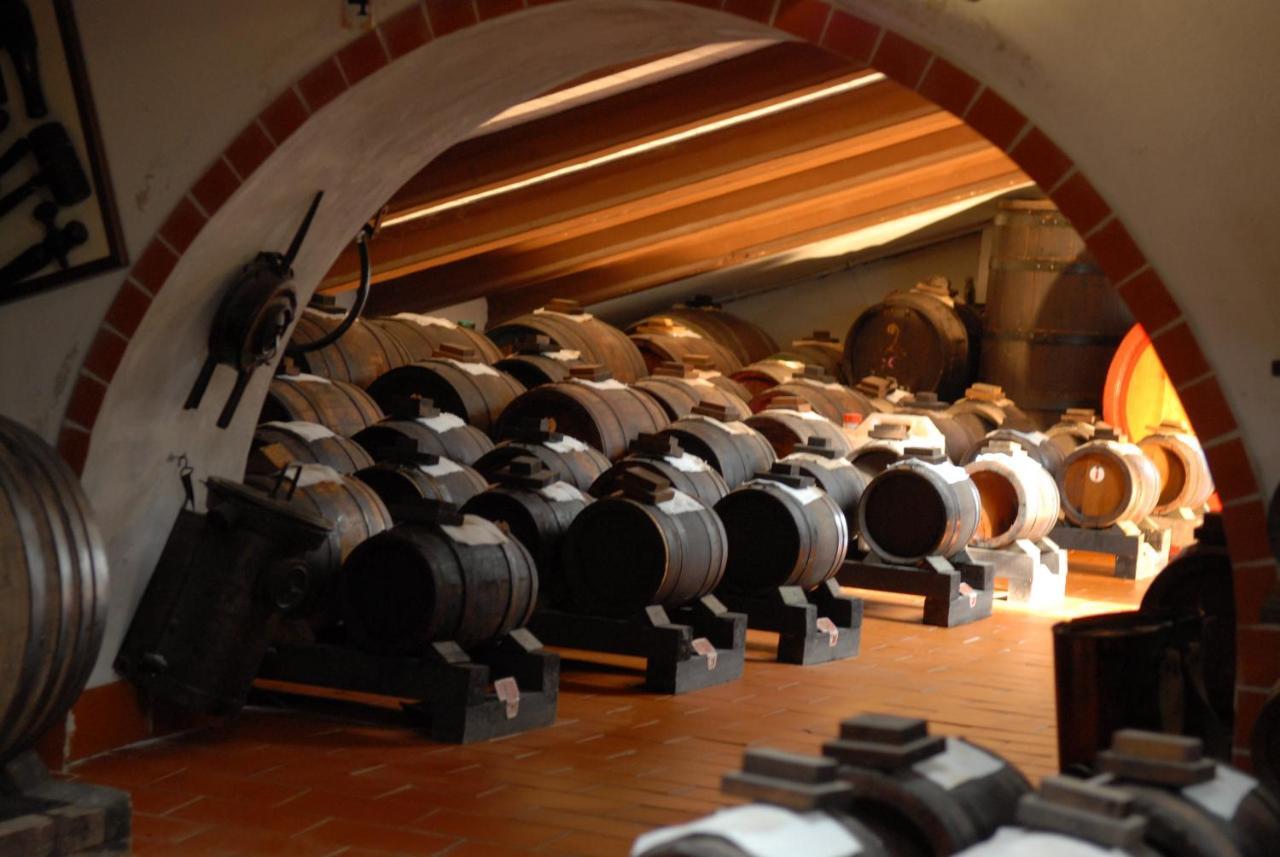 Real Bb Balsamico Bed & Breakfast Bastiglia Dış mekan fotoğraf